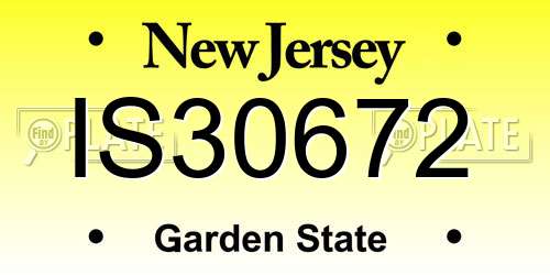 IS30672 New Jersey License Plate