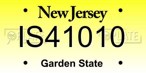 IS41010 New Jersey License Plate