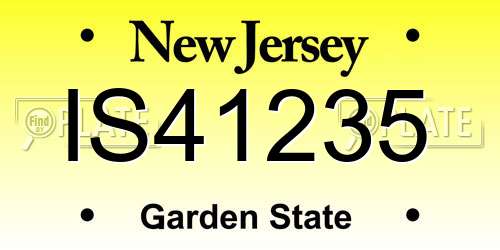 IS41235 New Jersey License Plate