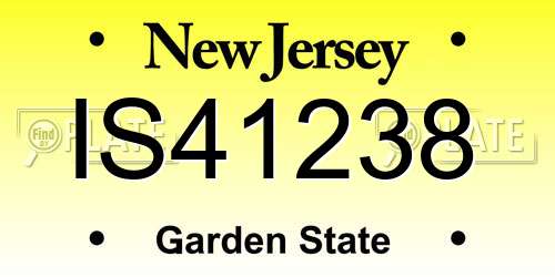 IS41238 New Jersey License Plate