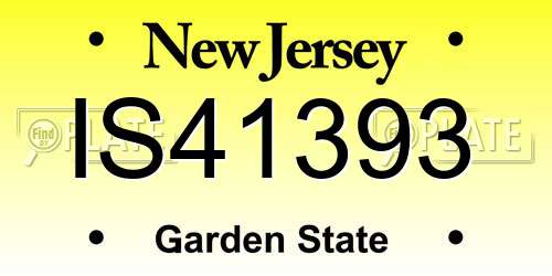 IS41393 New Jersey License Plate