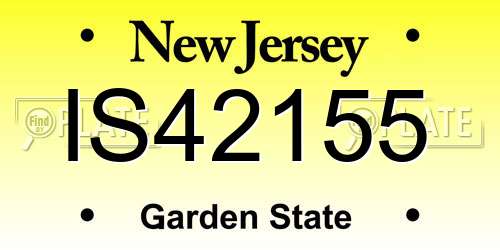 IS42155 New Jersey License Plate