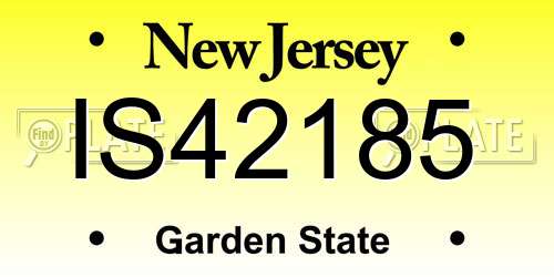 IS42185 New Jersey License Plate