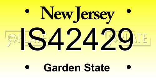 IS42429 New Jersey License Plate