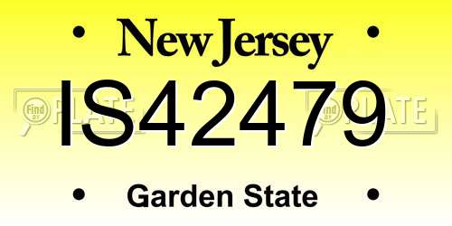 IS42479 New Jersey License Plate