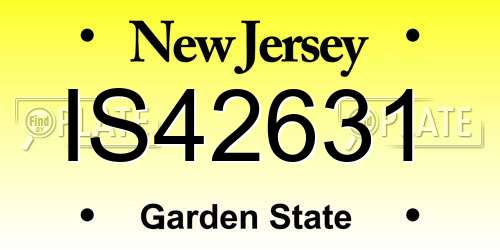 IS42631 New Jersey License Plate