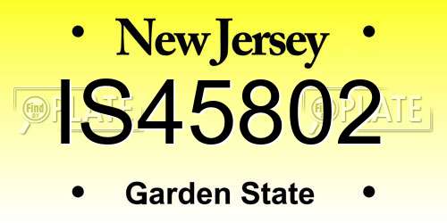 IS45802 New Jersey License Plate