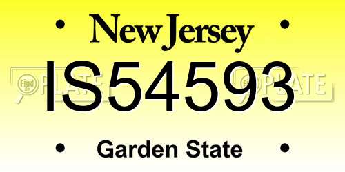 IS54593 New Jersey License Plate