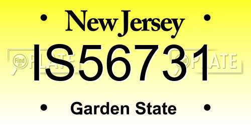 IS56731 New Jersey License Plate