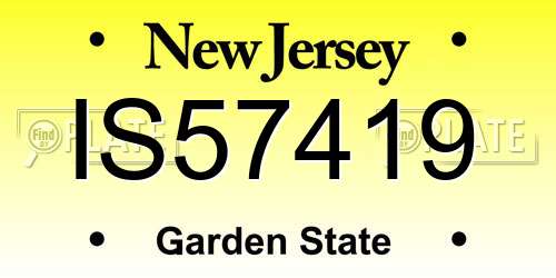IS57419 New Jersey License Plate