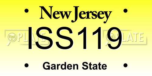 ISS119 New Jersey License Plate