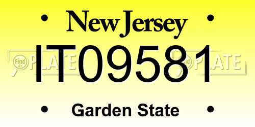 IT09581 New Jersey License Plate