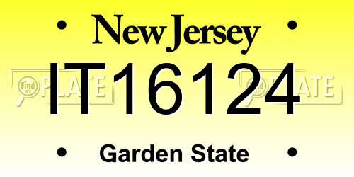 IT16124 New Jersey License Plate