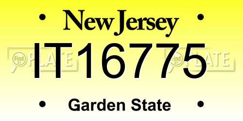 IT16775 New Jersey License Plate