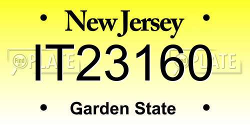 IT23160 New Jersey License Plate