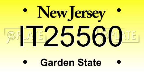 IT25560 New Jersey License Plate