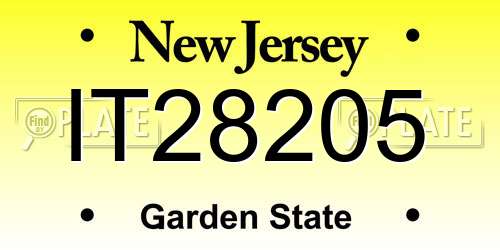 IT28205 New Jersey License Plate