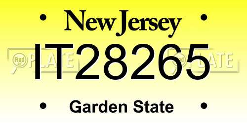 IT28265 New Jersey License Plate