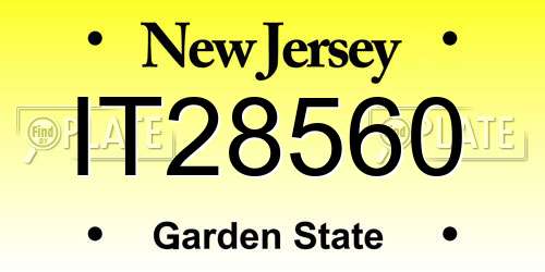 IT28560 New Jersey License Plate