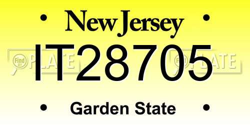 IT28705 New Jersey License Plate
