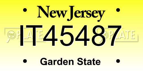 IT45487 New Jersey License Plate