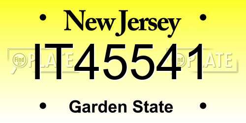 IT45541 New Jersey License Plate