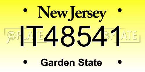 IT48541 New Jersey License Plate