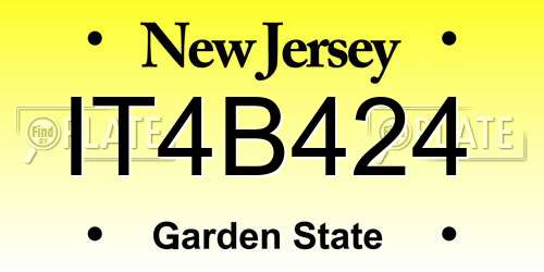 IT4B424 New Jersey License Plate