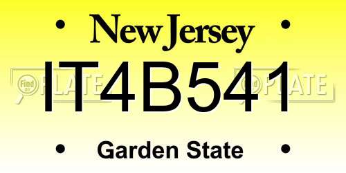 IT4B541 New Jersey License Plate