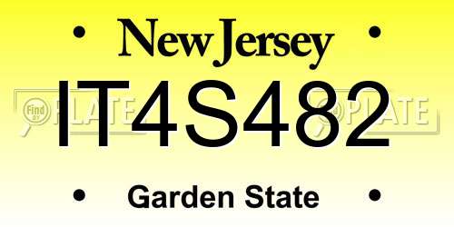 IT4S482 New Jersey License Plate