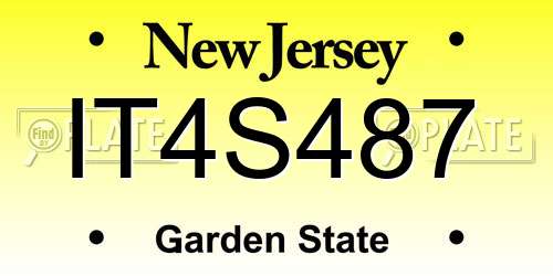 IT4S487 New Jersey License Plate