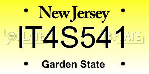 IT4S541 New Jersey License Plate