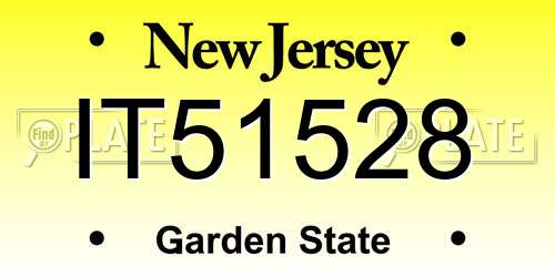 IT51528 New Jersey License Plate
