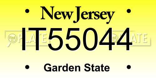 IT55044 New Jersey License Plate