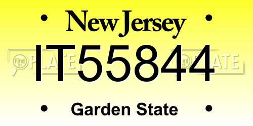 IT55844 New Jersey License Plate