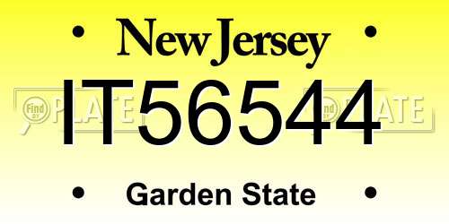 IT56544 New Jersey License Plate