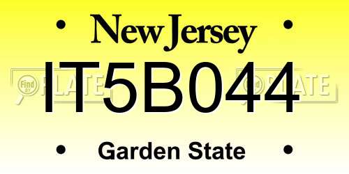 IT5B044 New Jersey License Plate