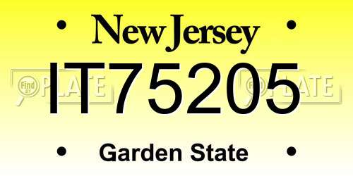 IT75205 New Jersey License Plate