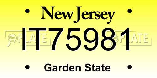 IT75981 New Jersey License Plate