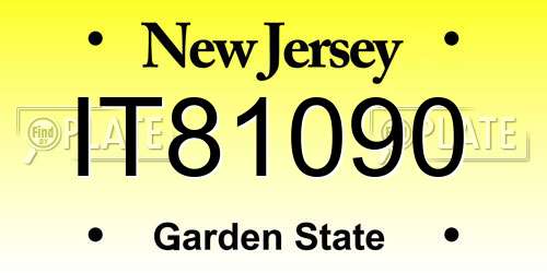 IT81090 New Jersey License Plate
