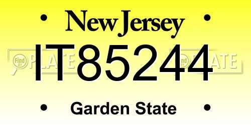 IT85244 New Jersey License Plate