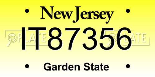 IT87356 New Jersey License Plate