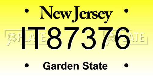 IT87376 New Jersey License Plate