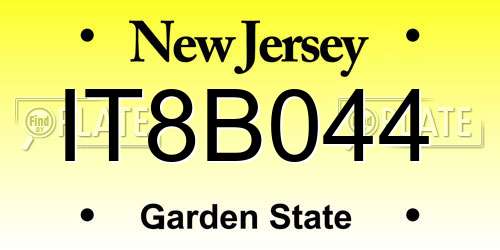 IT8B044 New Jersey License Plate