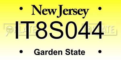 IT8S044 New Jersey License Plate