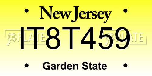 IT8T459 New Jersey License Plate