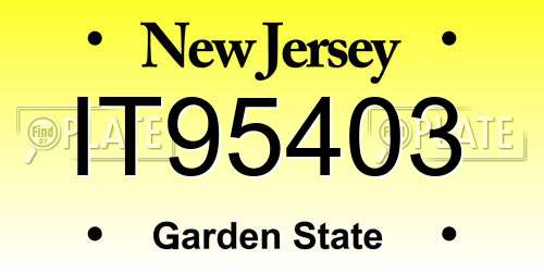 IT95403 New Jersey License Plate
