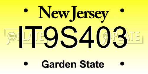 IT9S403 New Jersey License Plate