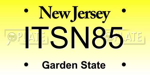 ITSN85 New Jersey License Plate