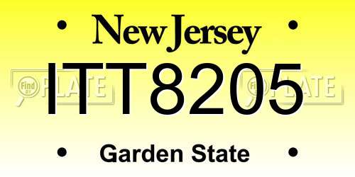 ITT8205 New Jersey License Plate